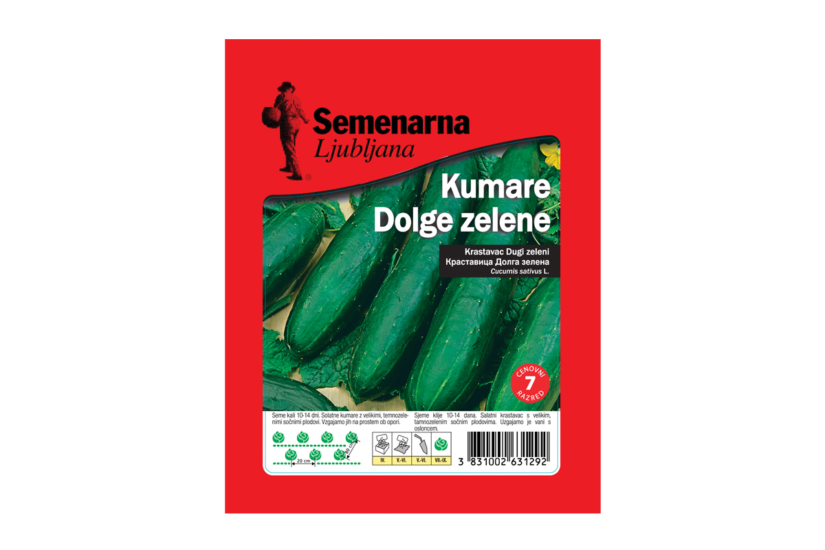 KUMARA DOLGA ZELENA 25 g Semenarna 