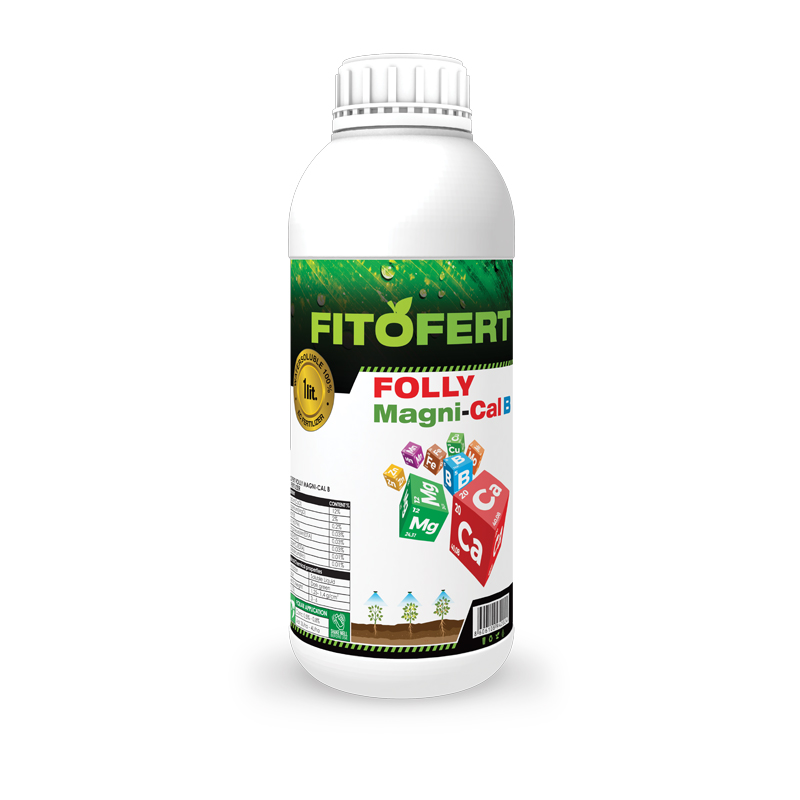 FITOFERT FOLLY MAGNICAL-B 1L 