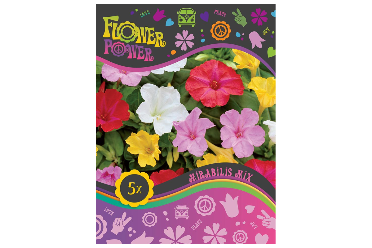 Flower power Mirabilis Mix 5/1 