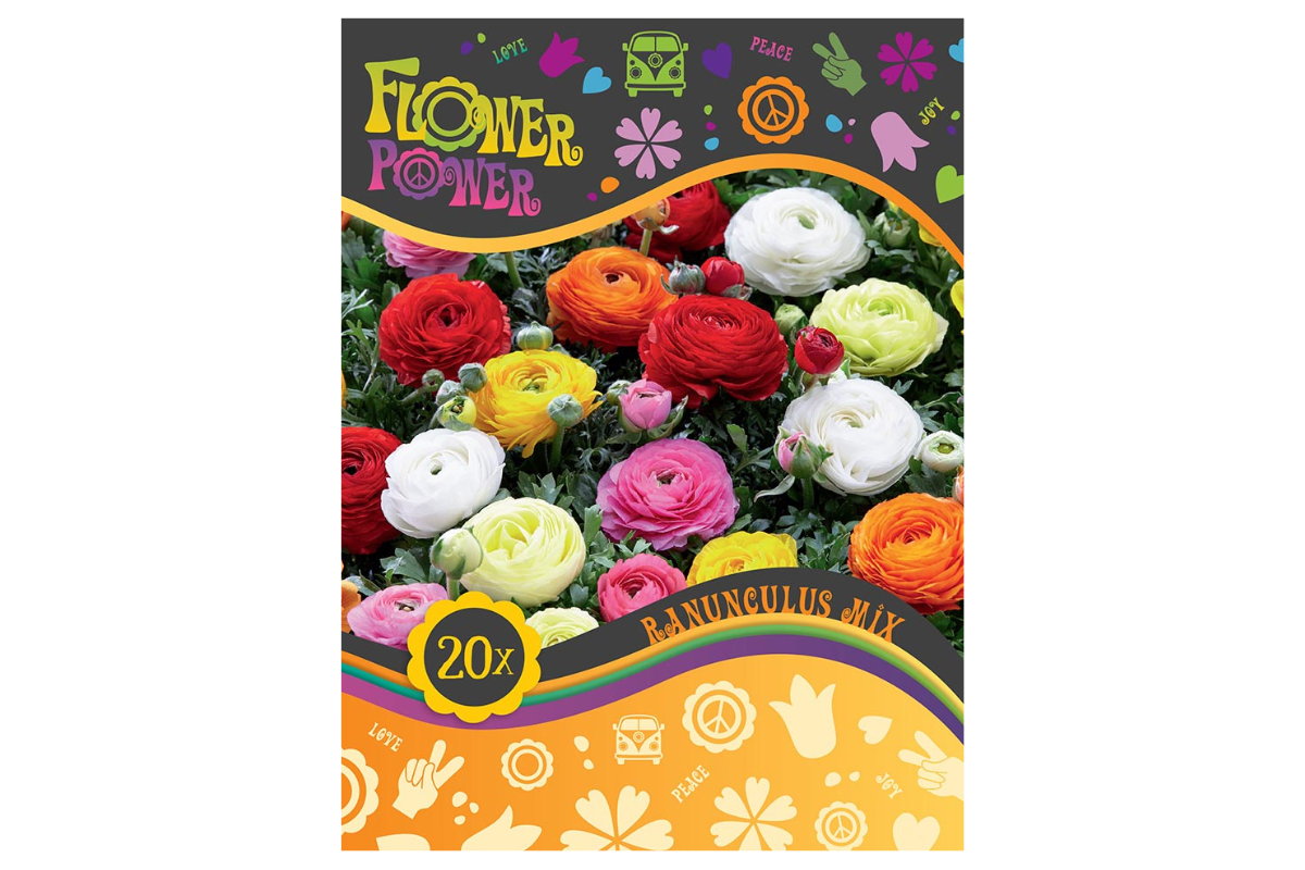 Flower power Ranunculus Mix 20/1 