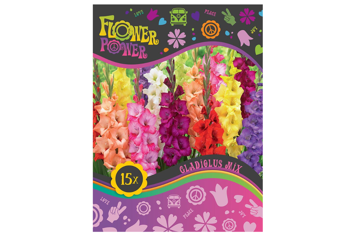 Flower power Gladiolus Mix 15/1 