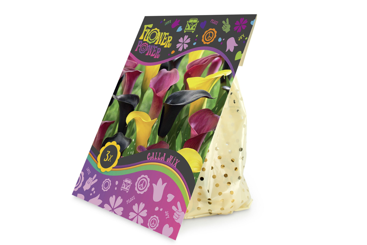 Flower power Calla Mix 3/1 