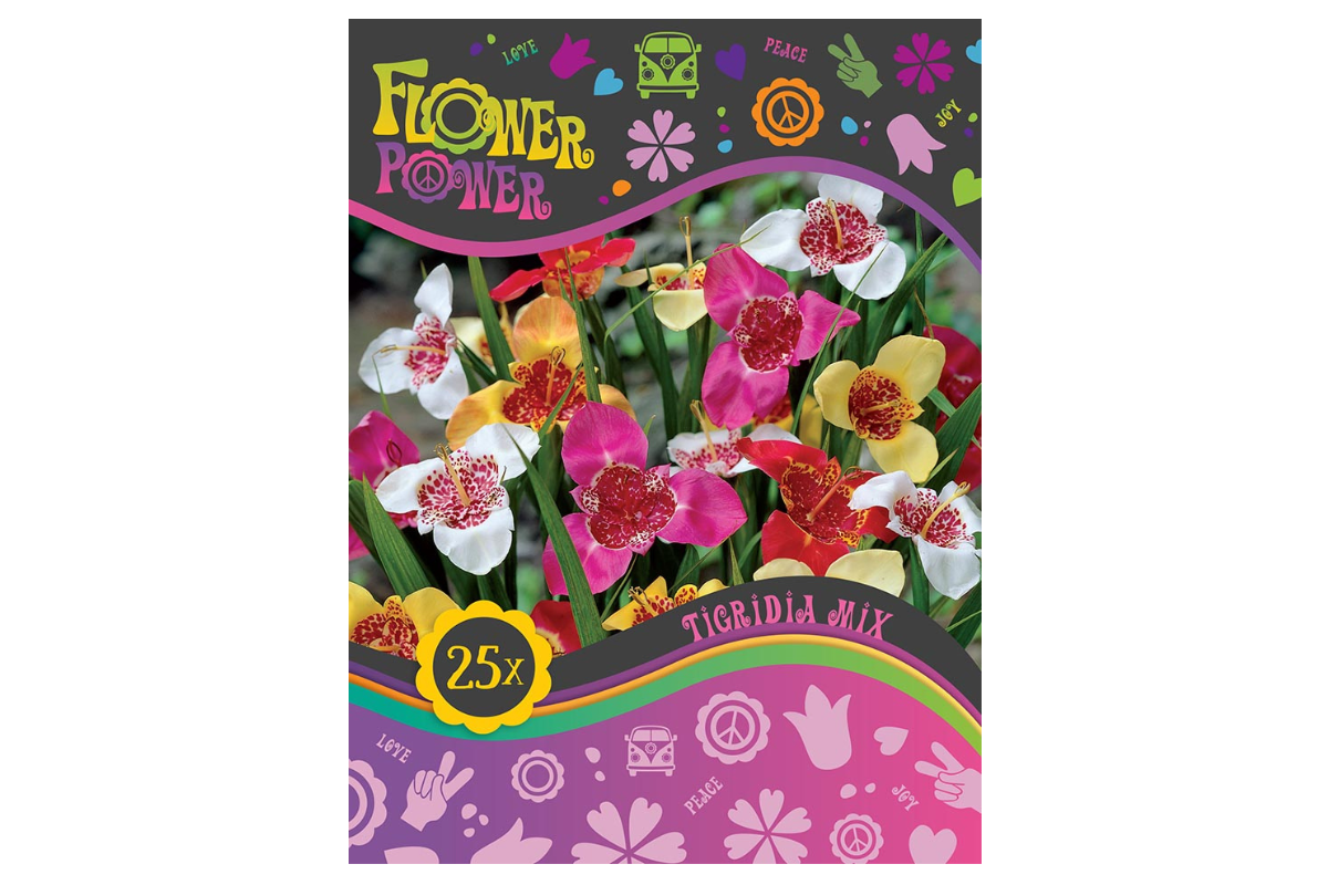 Flower power Tigridia Mix 25/1 