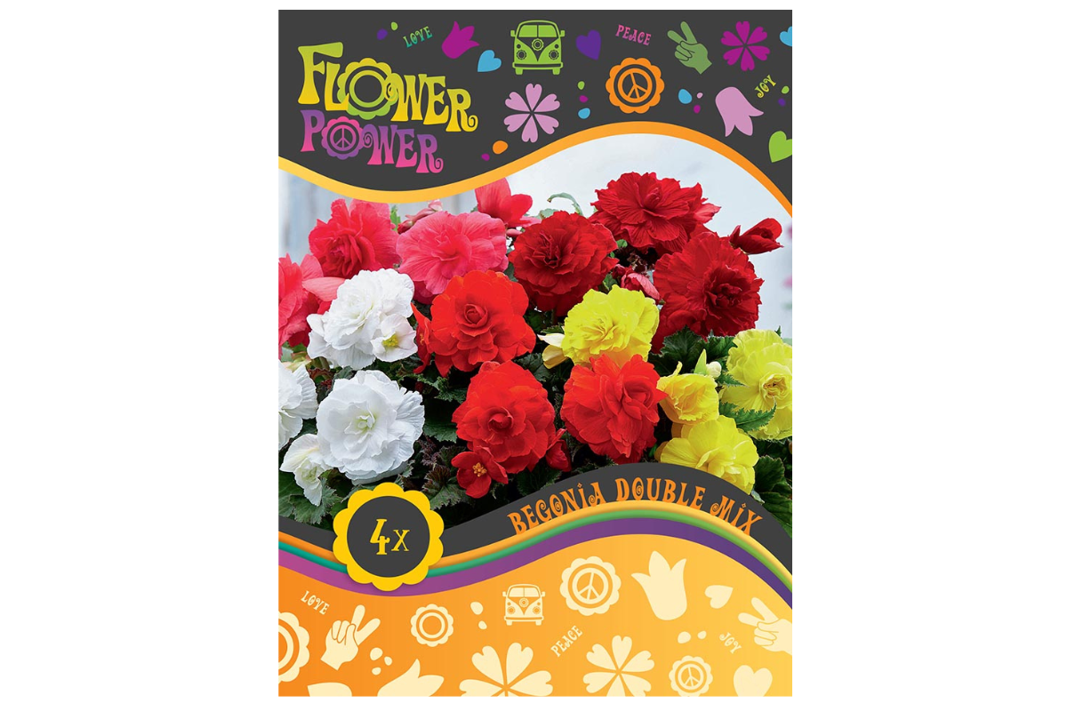 Flower power Begonia Double Mix 4/1 