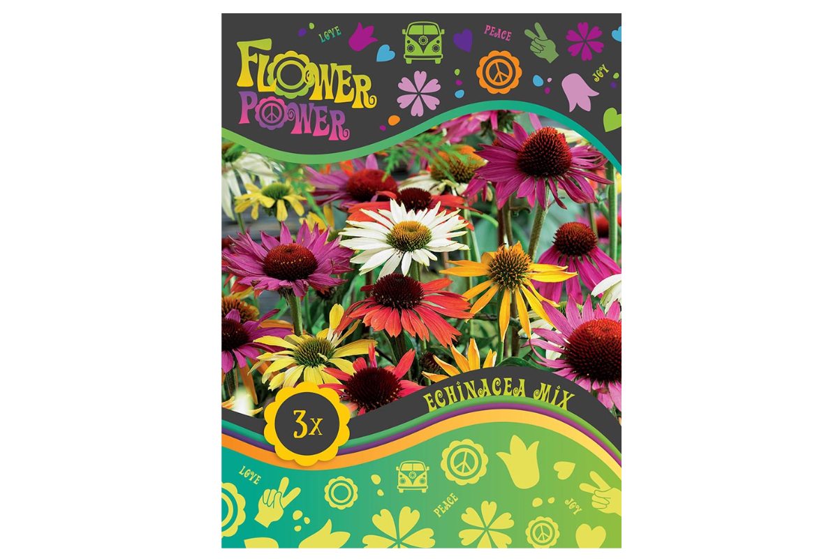 Flower power Echinacea mix 3/1 