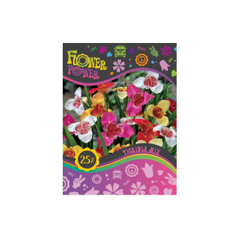 Flower power Tigridia Mix 25/1 