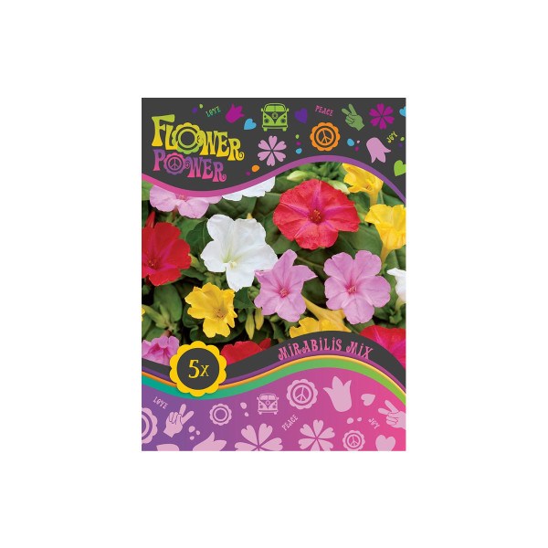 Flower power Mirabilis Mix 5/1 