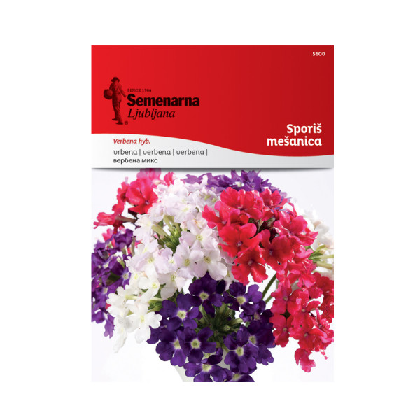 SPORIŠ - MEŠANICA (Verbena) 5600 Semenarna 