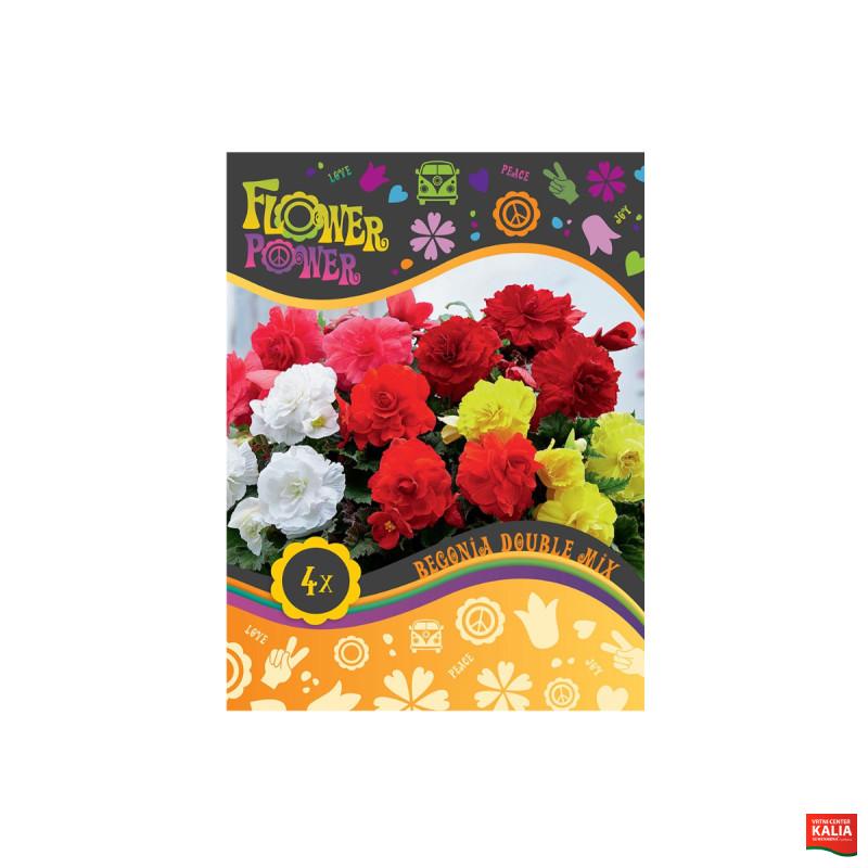 Flower power Begonia Double Mix 4/1 